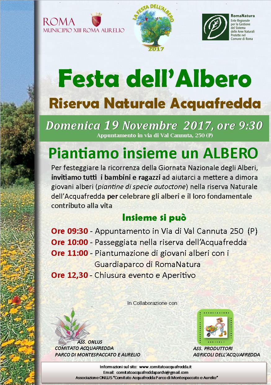 Festa Albero 19 novembre