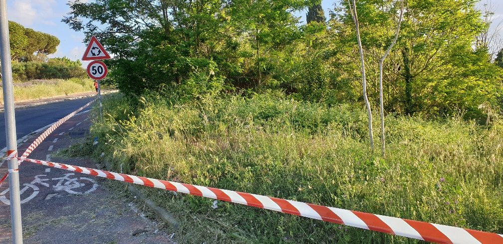 11maggio 2020 - situazione degrado (7)